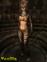 Feminine_Khajiit_Textures_05.jpg