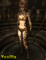 Feminine_Khajiit_Textures_06.jpg