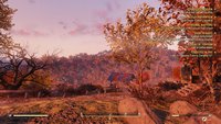 Optimized Fallout 76 INIs - 03.jpg