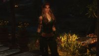 Vanilla Amour & Clothing conversions with HDT 01.jpg