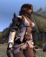 Wjun Lady armor_ 07.jpg