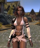 Wjun Lady armor_ 03.jpg