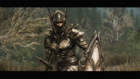 Dragon_Knight_Armor_02.jpg