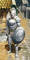 Light_armor_Pack_15.jpg