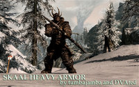 Skaal_heavy_Armor.jpg