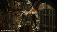 BDO Bern Armor.jpg