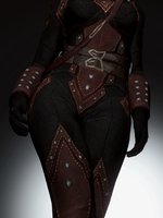 Dark Brotherhood HD armor retexture 05.jpg