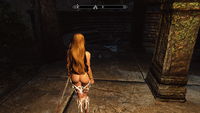 Tes V - Skyrim Screenshot 2018.12.17 - 20.07.19.65.png