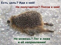 03134060q - Папа, а правда, что ежики колются - Да нет, что ты, сынок! Так, бухают иногда....jpg