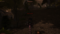 Gothic II - 2.6 (fix) 05.02.2019 16_39_34.png