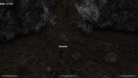 летающий кошель.png