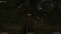 еще одно полое дерево.png