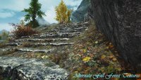 Alternate Fall Forest Textures 01.jpg