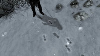 Footprints_13.jpg