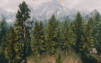 Skyrim Flora Overhaul 02.jpg