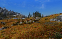 Skyrim Flora Overhaul 07.jpg