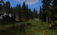 Skyrim Flora Overhaul 11.jpg