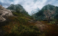 Skyrim Flora Overhaul 13.jpg