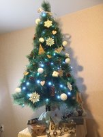 fir-tree-5.jpg