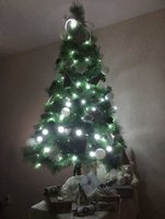 fir-tree-6.jpg