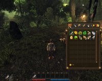 screenshot.risen.1280x1024.2010-02-22.184.jpg