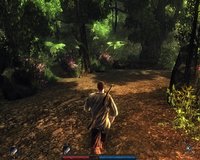 screenshot.risen.1280x1024.2010-02-22.100.jpg