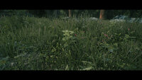 Verdant - A Skyrim Grass Plugin 02.jpg