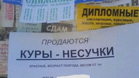 imgonline-com-ua-convert0kA5ByCzfpCD.jpg