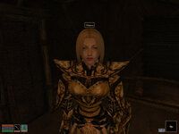 Morrowind 2020-11-24 01-41-16-22.jpg