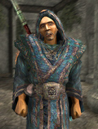 GarisFER