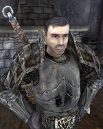 AmidNov