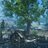 tilil2670