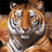 rpgrussia_123